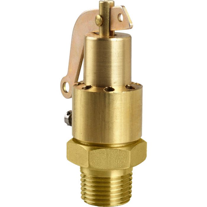 Safety Relief Valve