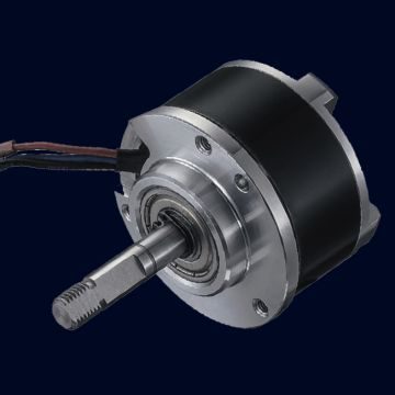 56V BLDC Motor