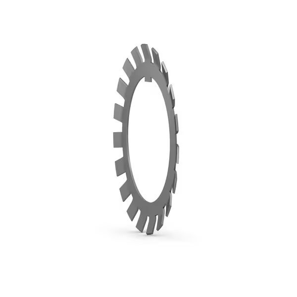 W Series Bearing Lock Washer