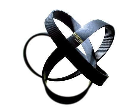 Poly V Belt