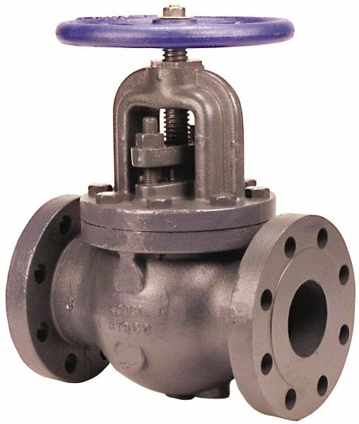Iron Renewable Globe Valve
