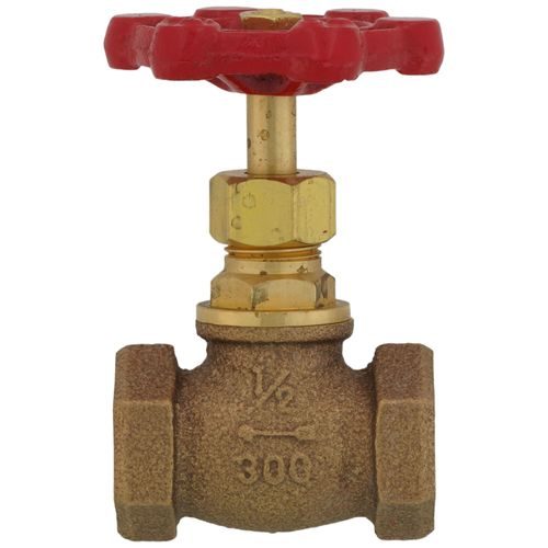 Globe Valve, 1-1/2", Bronze, FNPT, 600 psi