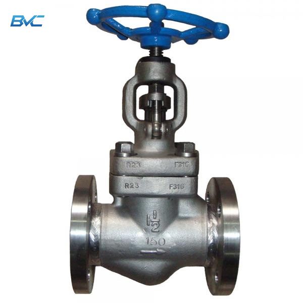 Integral Globe Valve