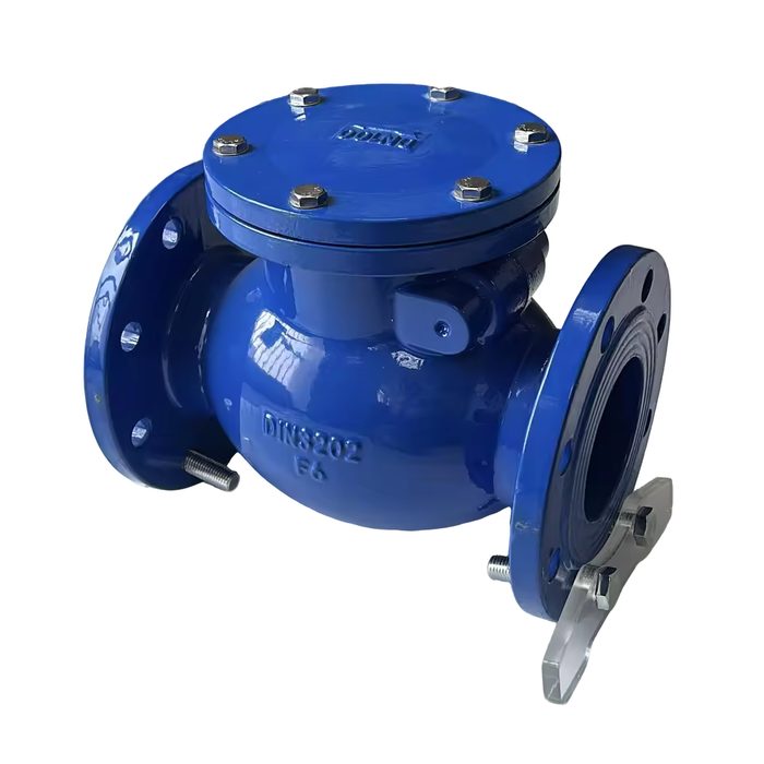 Swing Check Valve