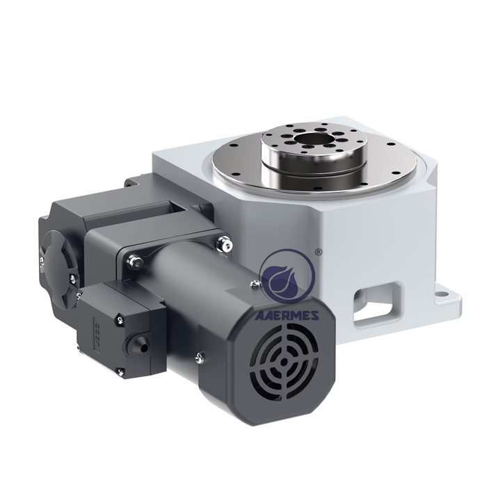 P Series Cam Indexer