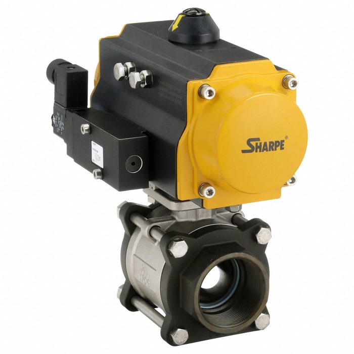 Globe Valve, Class 800, 3/8 In., FNPT