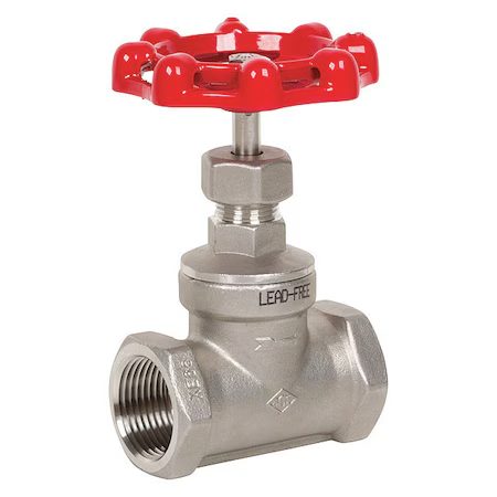 Globe Valve, 3/4", 316, Thrd 200