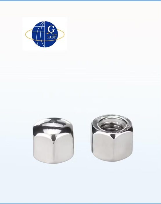 Lock Nut Hex Dome Head Flange Cap Nut