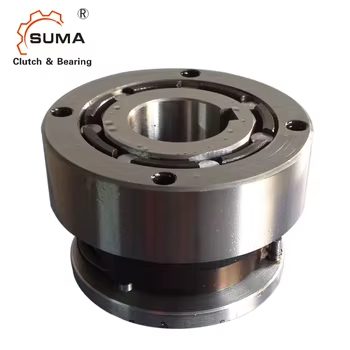 Overrunning Clutch Roller Type Two-way Clutch
