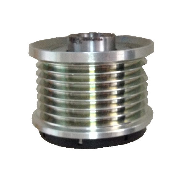 Overrunning Alternator Pulley (OAP) Auto Bearing
