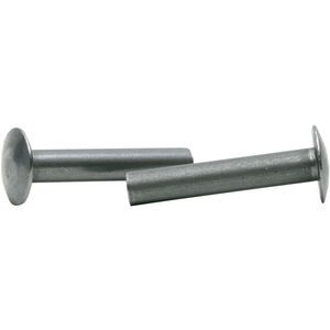 Plain Truss Head Solid Rivet