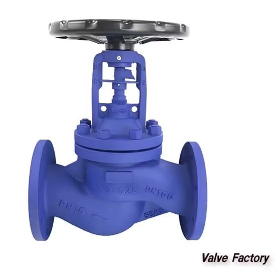 BS1873 Pn16 Steam Bellow Seal Water Globe Valve