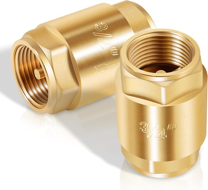 In-Line Check Valve