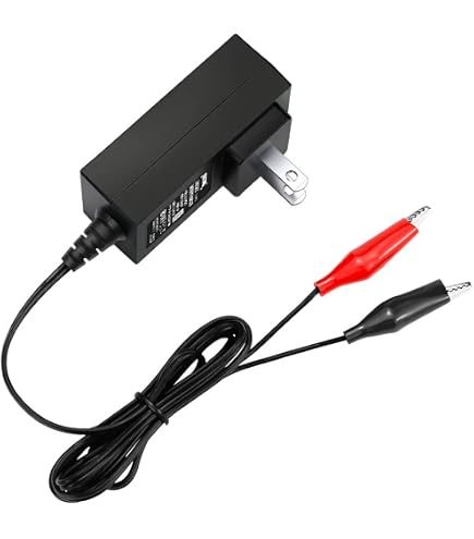 12V 1A SLA Battery Charger with Auto Protection
