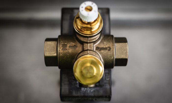 Female Thread Brass Swing Check Valve