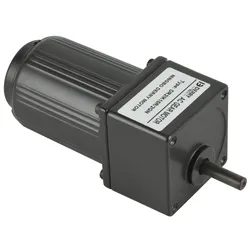 AC Small Motor
