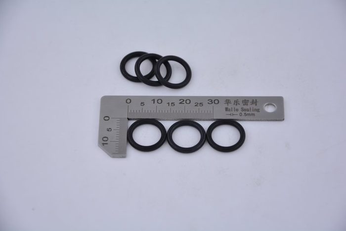 Viton O Ring for Fristam Pump