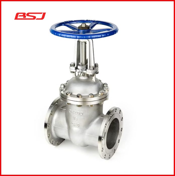 Stainless Steel Flanged Gate Valve