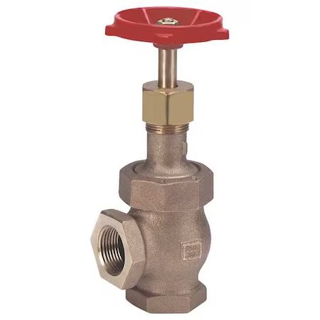 Angle Globe Valve, Class 300, 3/8 In., FNPT