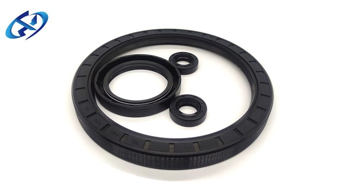 CR06-P V-Ring Seal