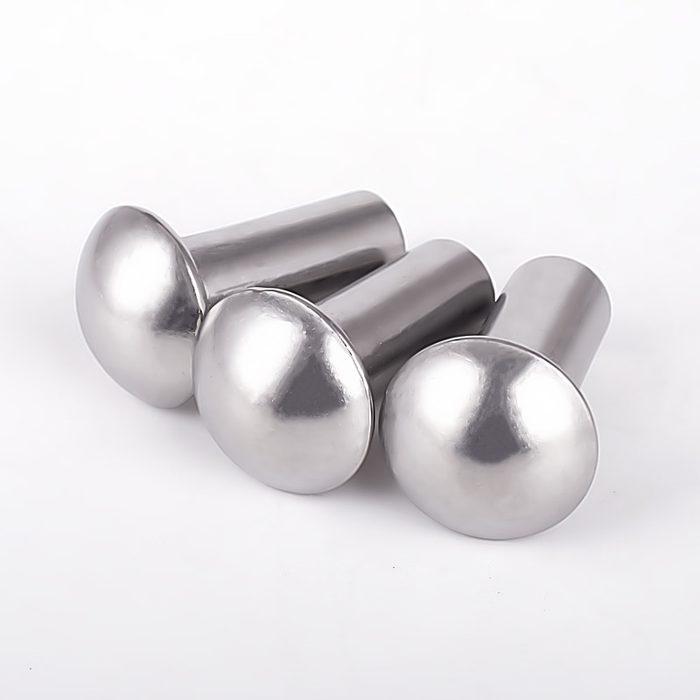 304 Stainless Steel Round Head Solid Rivets