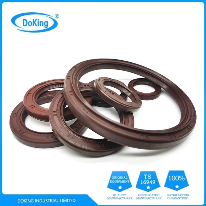 DDS, 1 Lip w/Spring, SC, Rotary Shaft Seal