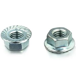 Hex Flange Nut
