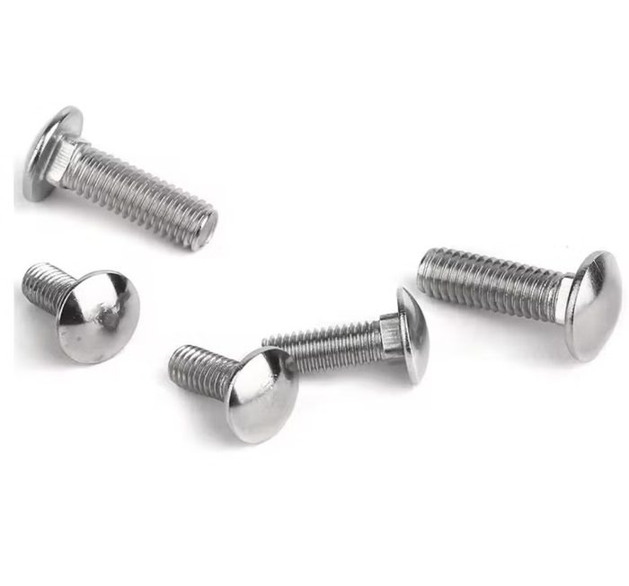 M10 M12 M14 M16 M20 Stainless Steel Carriage Bolts