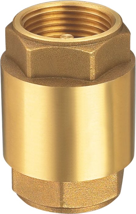 Brass Spring Loaded Check Valve