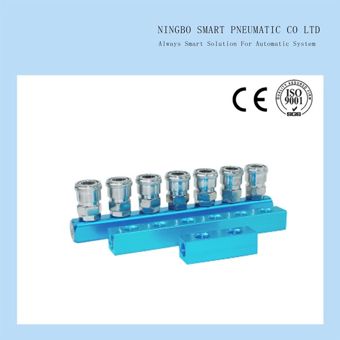 2~20 Holes 1/4' Female Thread Pneumatic Multi-Pipe Base Blue Aluminum Strip Row Air Manifold