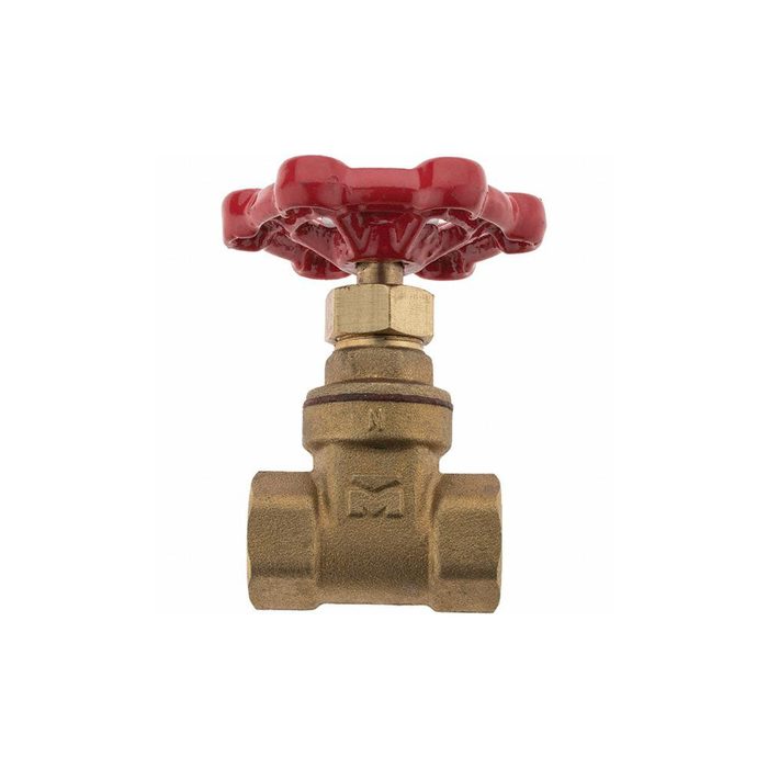 Gate Valve, 3/8" Pipe, FNPT x FNPT, Bronze