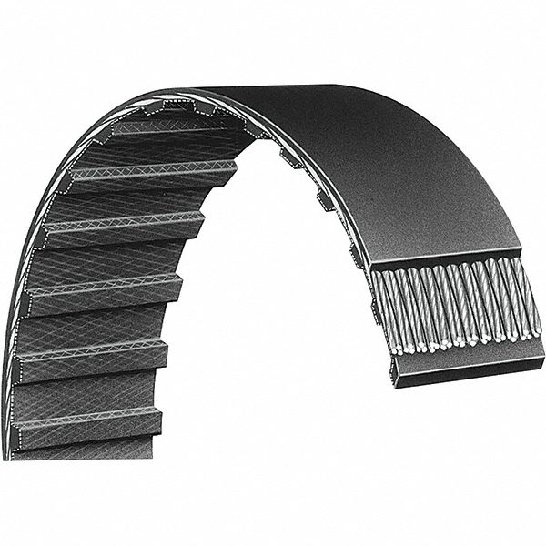 Timing Belt: Section XL