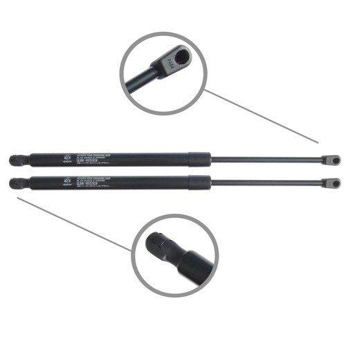 Trunk/Hatch Lift Support