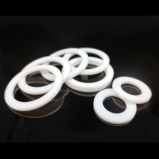 PTFE Gasket
