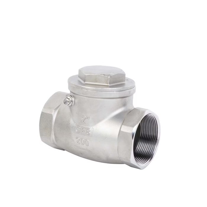 Heavy-Duty Stainless Steel Check Valve