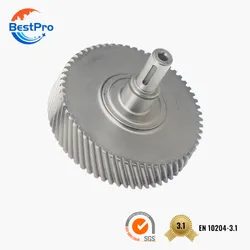 Worm Gearbox Gear