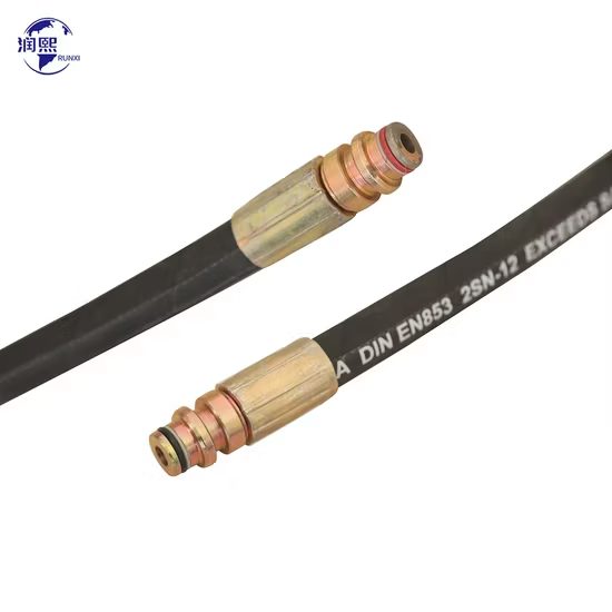 Hydraulic Hose Assembly, EN853 2SN, 2-Wire Braid