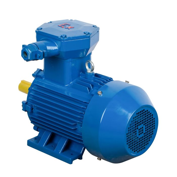 Brushed DC Motor