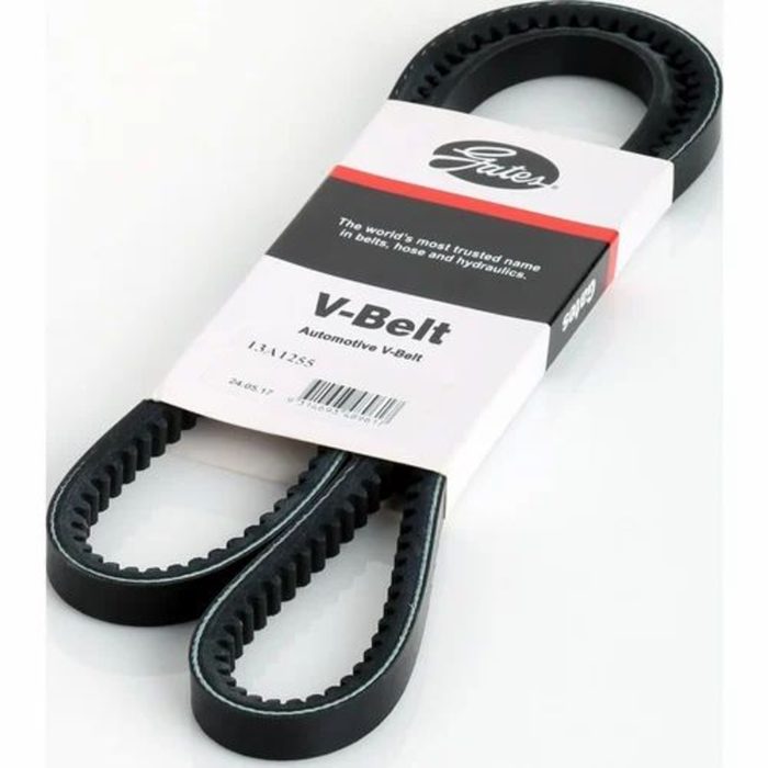 V Belt: Section C, 24 mm Belt Width