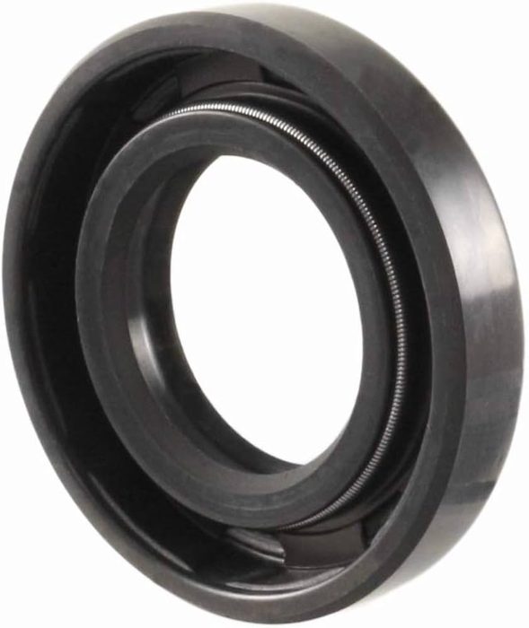 Double Lip Oil Seal with Spring
