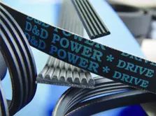 Poly V Belt
