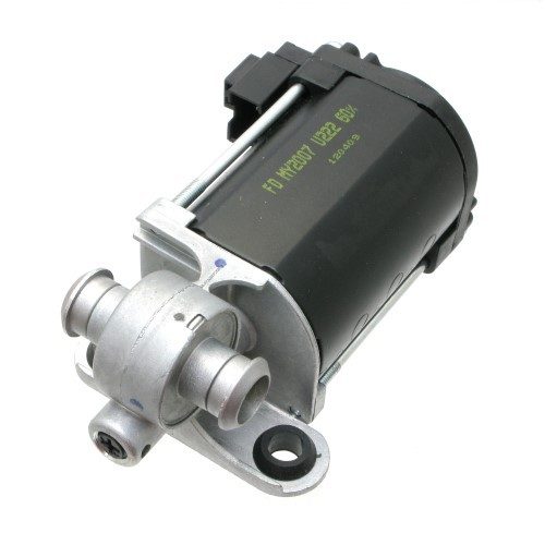 Gearhead Motor
