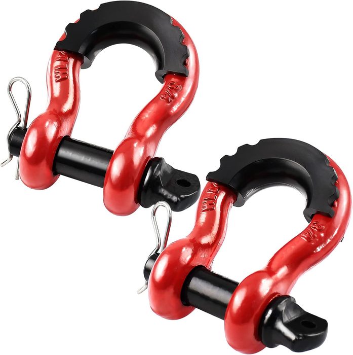 D Ring Shackles