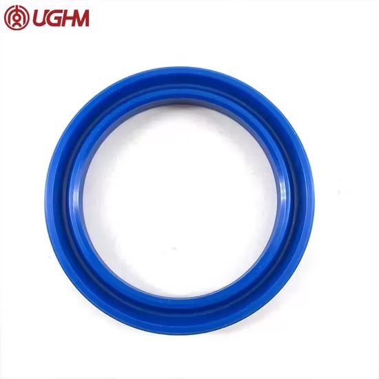 Lip Seal