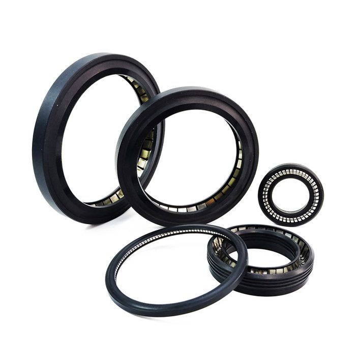 Spring Energized Rod Seal, 2-1/4" ID