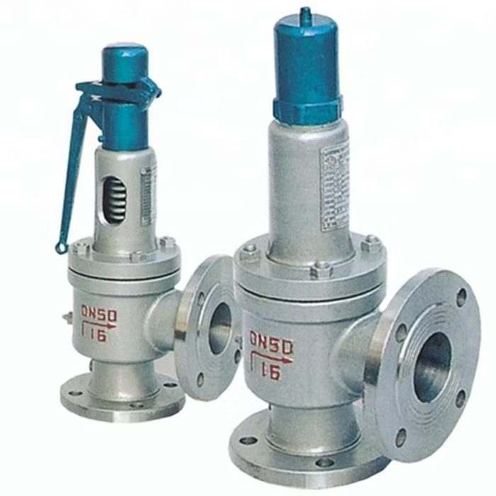 Safety Relief Valve
