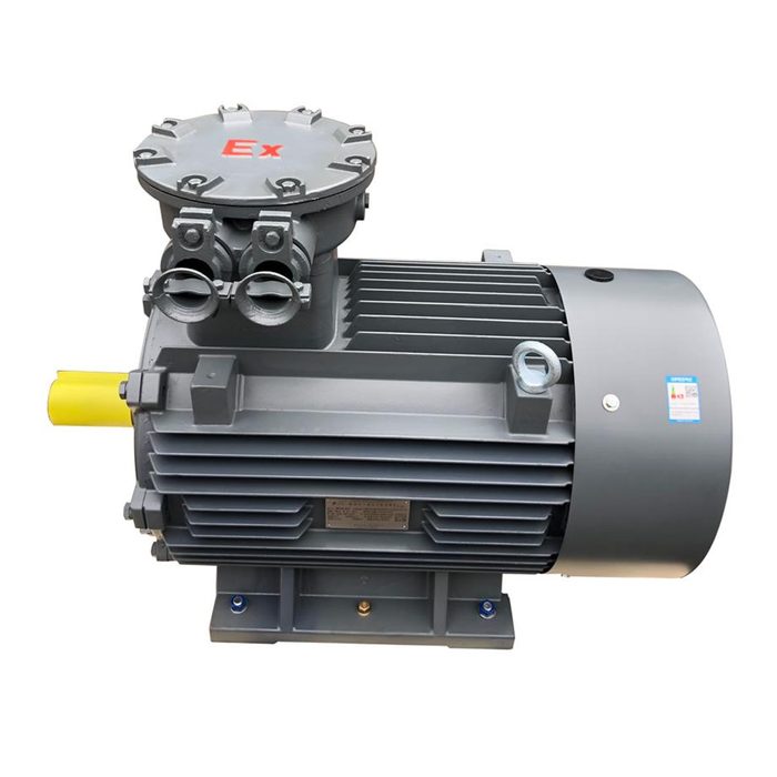 Three Phase AC Explosion-Proof Asynchronous Electric Motor