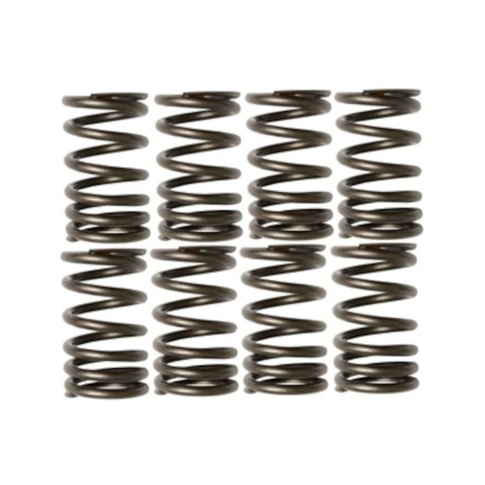 Compression Spring 0.312" OD 0.031" Wire 1.375" Long
