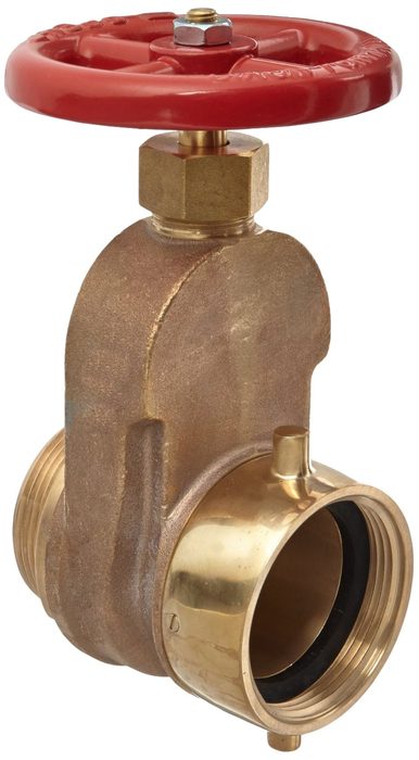 Gate Valve, 2-1/2" Pipe, NST, Brass