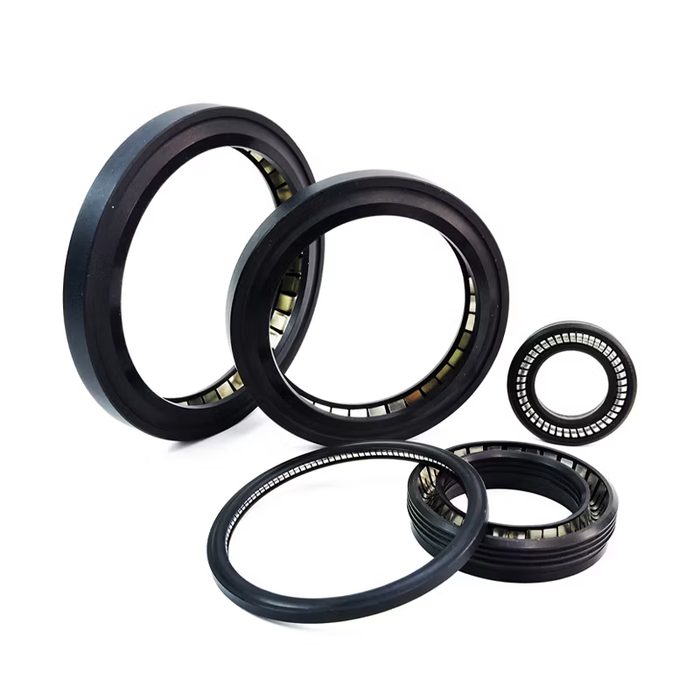 Spring Energized Seals